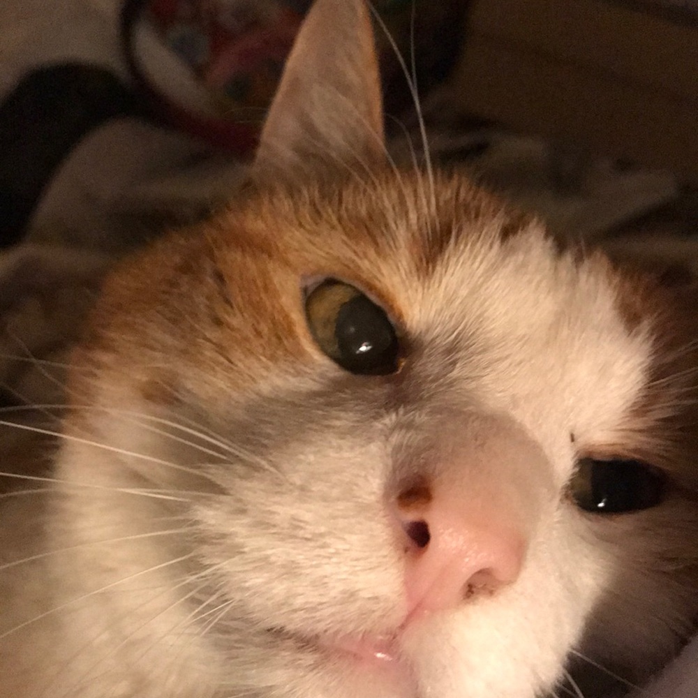 Meet your Posher, Teresa